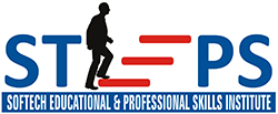 STEPS Institute Logo